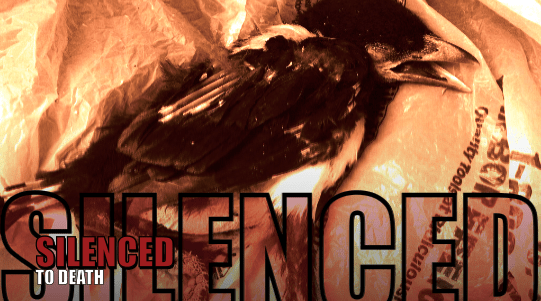 magpiesilencedDead