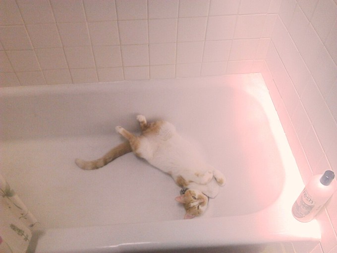 1052522_10151508432648225_55475986_o