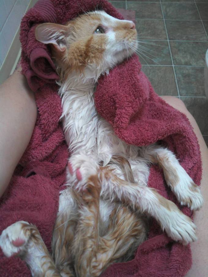 1150593_10151608353998225_49724976_o