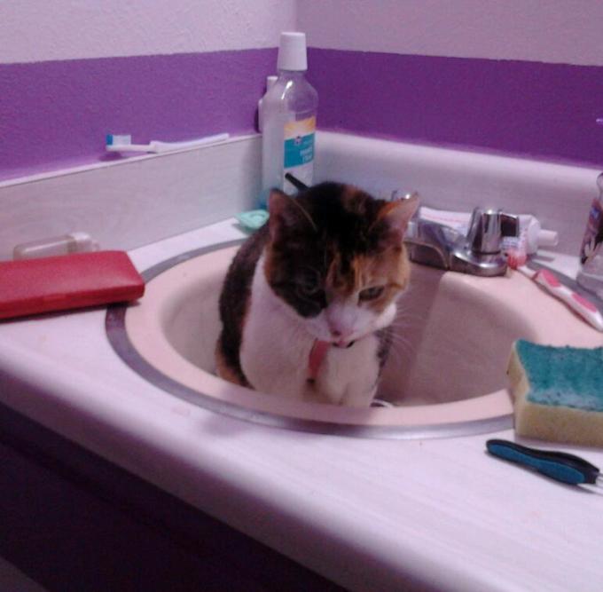 IMG_20110426_230550-1