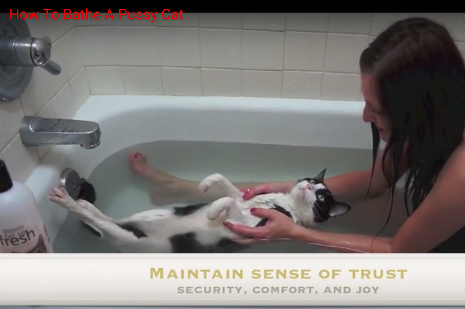 Screen Shot 2016-07-13 at 1.54.22 PM